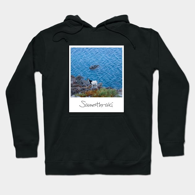 Samothraki Hoodie by greekcorner